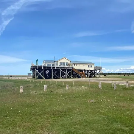 Leev Man To St Peter-ording